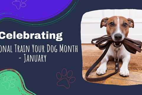 Celebrating National Train Your Dog Month – January