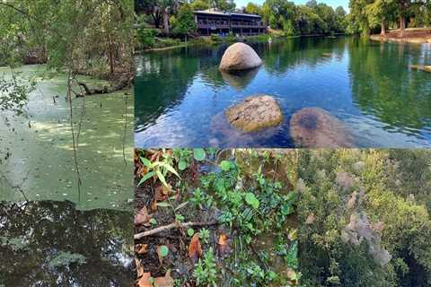 Discover the Recreational Activities in Hays County, Texas