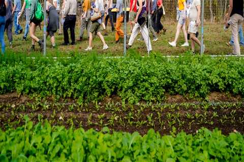 The Importance of Diversity and Inclusivity in Charleston's Agricultural Programs