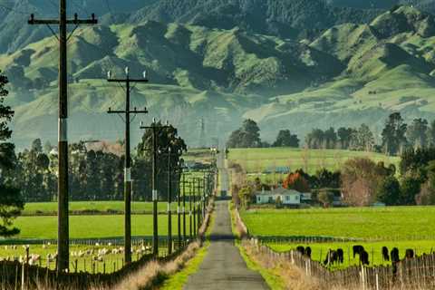Exploring the Impact of Human Activity on New Zealand's Environment
