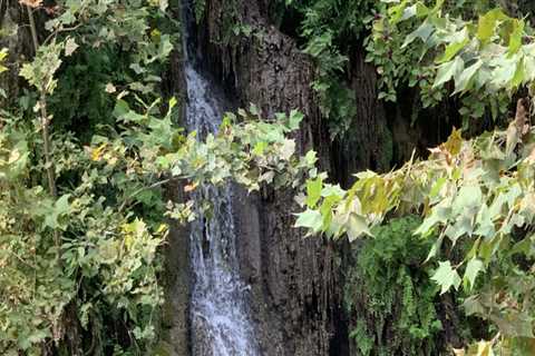 Exploring the Great Outdoors: Popular Events and Festivals in Austin, Arkansas