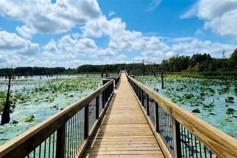 Exploring the Aquatic Wonders of Monroe, Louisiana