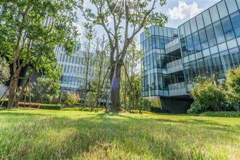 Green Cleaning Certification Programs for Businesses in Austin, Texas