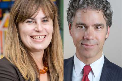 Petitioners Seek to Remove 'Non-Lawyer' From ABA Vocabulary. Lively Discussion Ensues