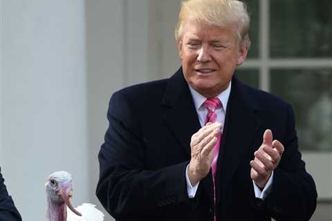 Which Trump Asset Seizure Will Irk Him The Most: Championship Round