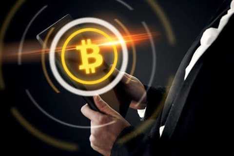 How Bitcoin Halving Could Affect Other Cryptocurrencies According to StanfordFinancial Experts