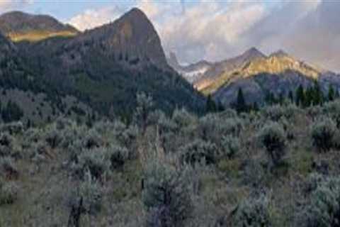 Environmental Issues in Boise, Idaho: What You Need to Know