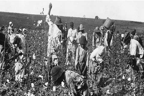 Demographic Makeup of Plantation Owners and Workers in Broward County, FL