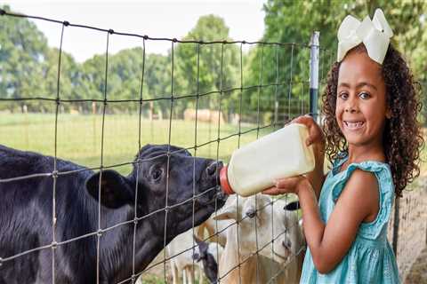 The Positive Impact of Businesses on the Community of Richmond, KY