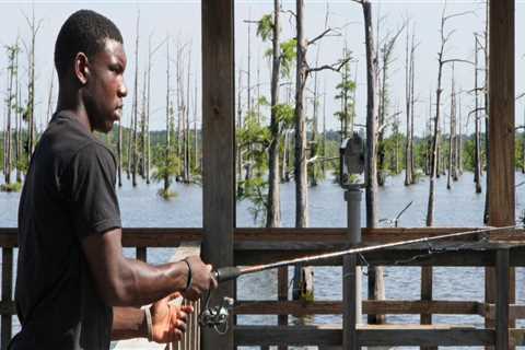 Leading the Way in Environmental Conservation: Monroe, LA