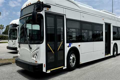 The Impact of Weather on Public Transportation in Hillsborough County, FL