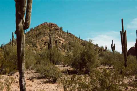 Expert Tips for Obtaining a Passport in San Tan Valley, AZ