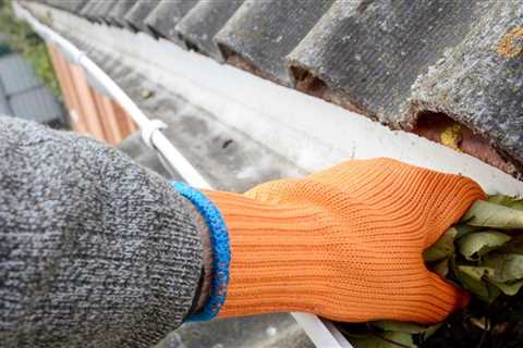 Gutter Cleaning St Johns