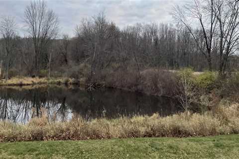 The Impact of Organizations in Akron, OH on Addressing Environmental Concerns