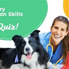 Veterinary Technician Skills Test – Take Quiz