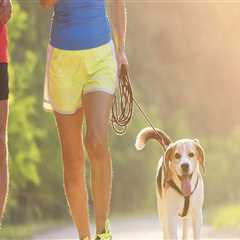 Are Pets Allowed to Participate in the Hattiesburg, MS Marathon?