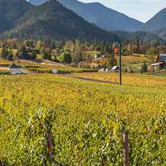Exploring the Award-Winning Wineries in Aurora, OR