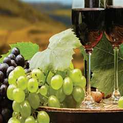 The Impact of Social Media on the Wine Industry in Aurora, OR