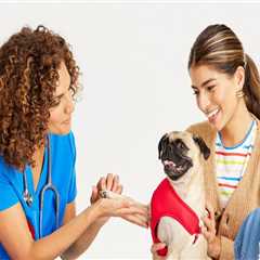 The Importance of Regular Check-Ups at an Animal Hospital in Fayetteville, Arkansas