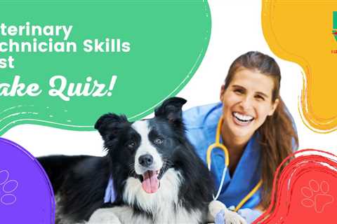 Veterinary Technician Skills Test – Take Quiz