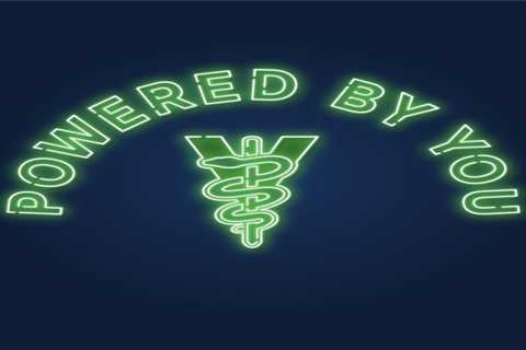 Comments due March 4 on Principles of Veterinary Medical Ethics