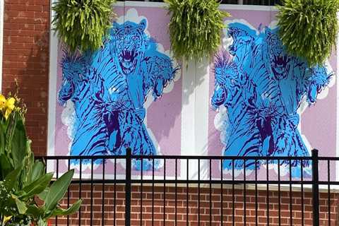 Discovering the Vibrant Street Art Scene and Talented Artists in Akron, OH