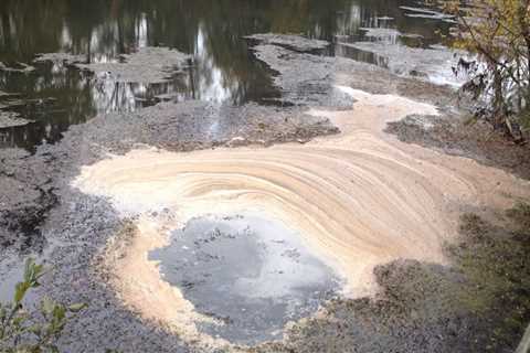 The Fight Against Water Pollution Crisis in Fort Mill, SC
