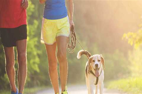 Are Pets Allowed to Participate in the Hattiesburg, MS Marathon?