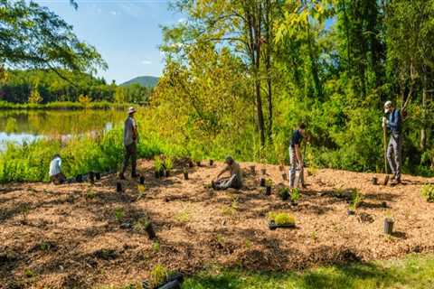 Exploring Volunteer Opportunities in White Plains, NY
