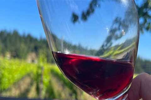 The Average Age of Vines in Aurora, OR Wineries: A Closer Look at the Wine Industry