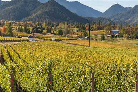 Exploring the Award-Winning Wineries in Aurora, OR