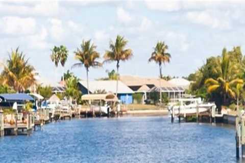 Exploring the Local News Agencies in Cape Coral, FL
