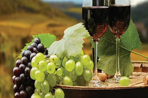 The Impact of Social Media on the Wine Industry in Aurora, OR