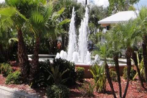 The Top News Agencies in Cape Coral, FL: A Comprehensive Guide