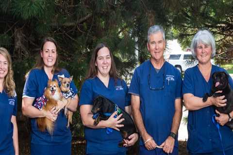 Exploring the Best Animal Hospitals in Fayetteville, Arkansas