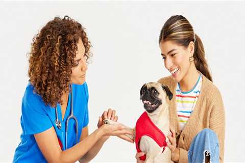 The Importance of Regular Check-Ups at an Animal Hospital in Fayetteville, Arkansas