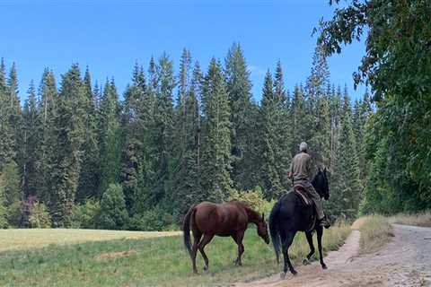Finding Community Groups in Clark County, WA