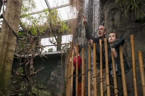 Exploring Family-Friendly Exhibitions in Omaha, NE: A Local Expert's Guide