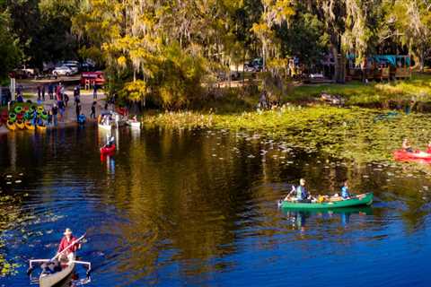 Community Groups in Tallahassee, FL: Focusing on Environmental Conservation and Sustainability