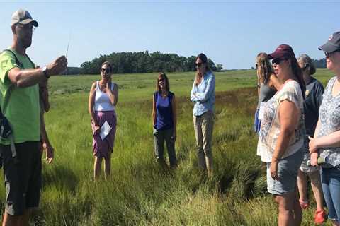 Exploring the Strong Associations in Essex County, MA