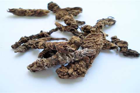 Valerian Root: A Guide To Consuming The Herbal Remedy For Sleeplessness And Anxiety