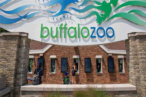 The Main Goals of Organizations in Buffalo, New York