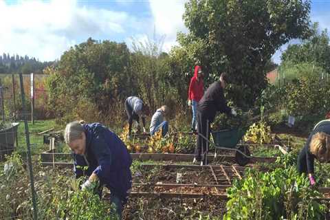 Community Groups in Portland, OR: How to Get Involved with Community Gardening