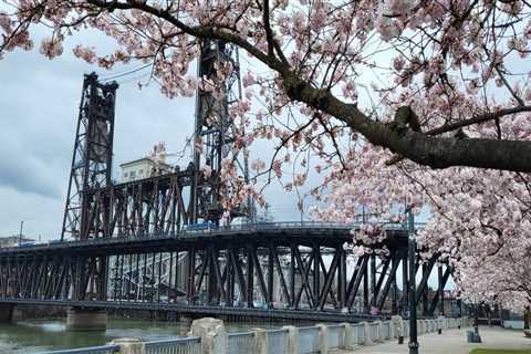 Getting Involved with Local Government through Community Groups in Portland, OR
