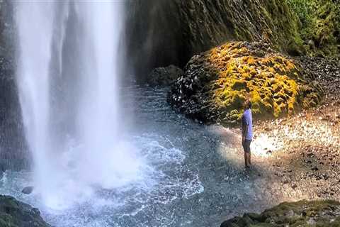 Exploring the Vibrant Arts and Culture Scene in Multnomah County, Oregon