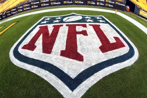 In NFL GC Search, White Papers Offer Hints Into How Newly Hired Adviser Will Shape Process