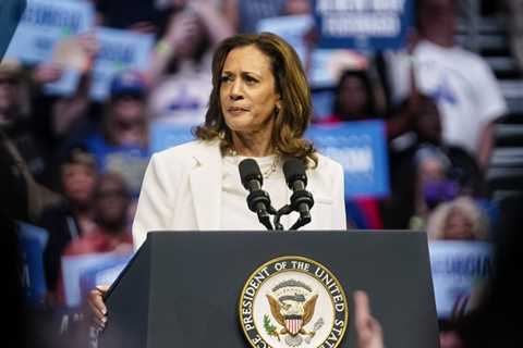 A Harris Administration Would Likely Review Merger Effects on Workers, Consumers, Antitrust Experts ..