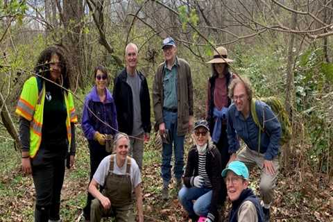 How to Connect with Voluntary Organizations in Fairfax County, Virginia