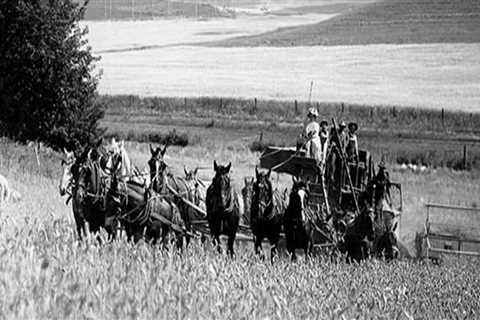 The Evolution of Organizations in Franklin County, WA: A Historical Perspective