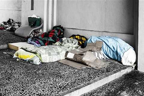 Addressing Homelessness and Poverty in Fairfax County, VA: The Role of Charitable Services